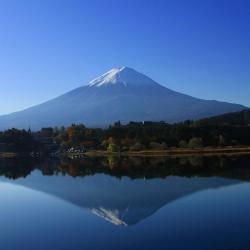 Mount Fuji Accommodation Florida