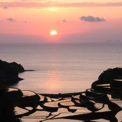 Saga Accommodation Florida