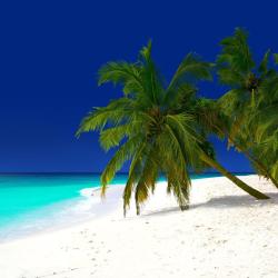 Baa Atoll Accommodation Florida