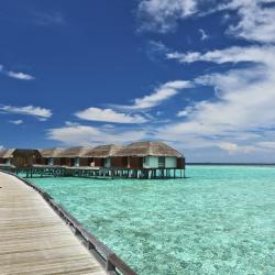 Dhiffushi Accommodation Florida