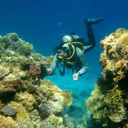 Dhigurah Accommodation Florida