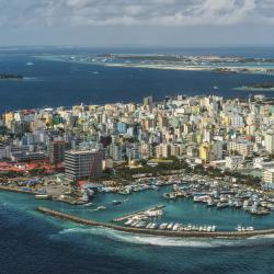 Male City Accommodation Florida