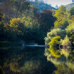 Beira Alta Accommodation Florida