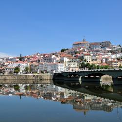 Centro Accommodation Florida