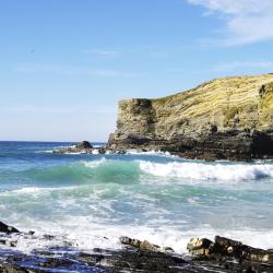 Costa Alentejana Accommodation Florida