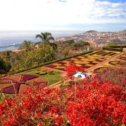Funchal Accommodation Florida