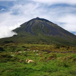 Pico island Accommodation Florida