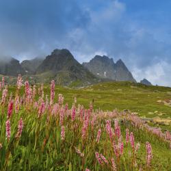 Santa Maria Accommodation Florida
