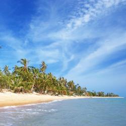 Koh Samui Accommodation Florida