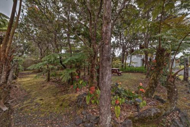Serene Tropical Volcano Home On Private Half Acre! - thumb 6