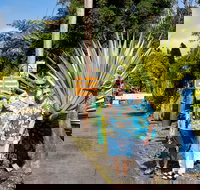 Aloha Junction Bed & Breakfast - Accommodation Florida