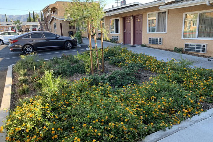 Desert Inn Motel - thumb 4