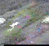 Fern Forest Getaway - Accommodation Florida