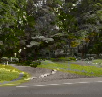 Hale 'Ohu Bed & Breakfast - Accommodation Florida