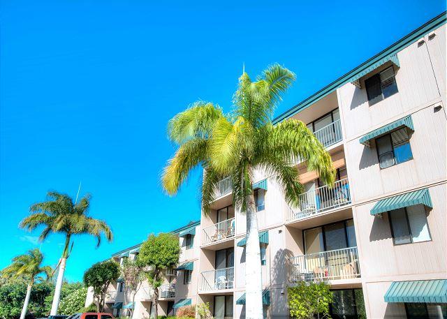 Pacific Shores A-217 - Budget-Friendly 2-Bedroom Condo Across From Kamaole Beach 1 - thumb 32