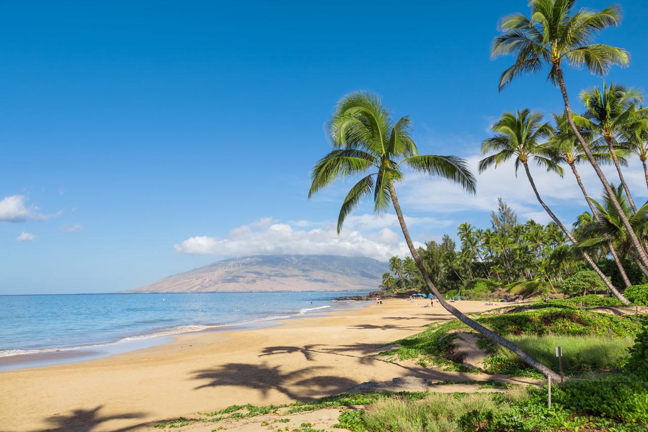 Pacific Shores A-217 - Budget-Friendly 2-Bedroom Condo Across From Kamaole Beach 1 - thumb 4
