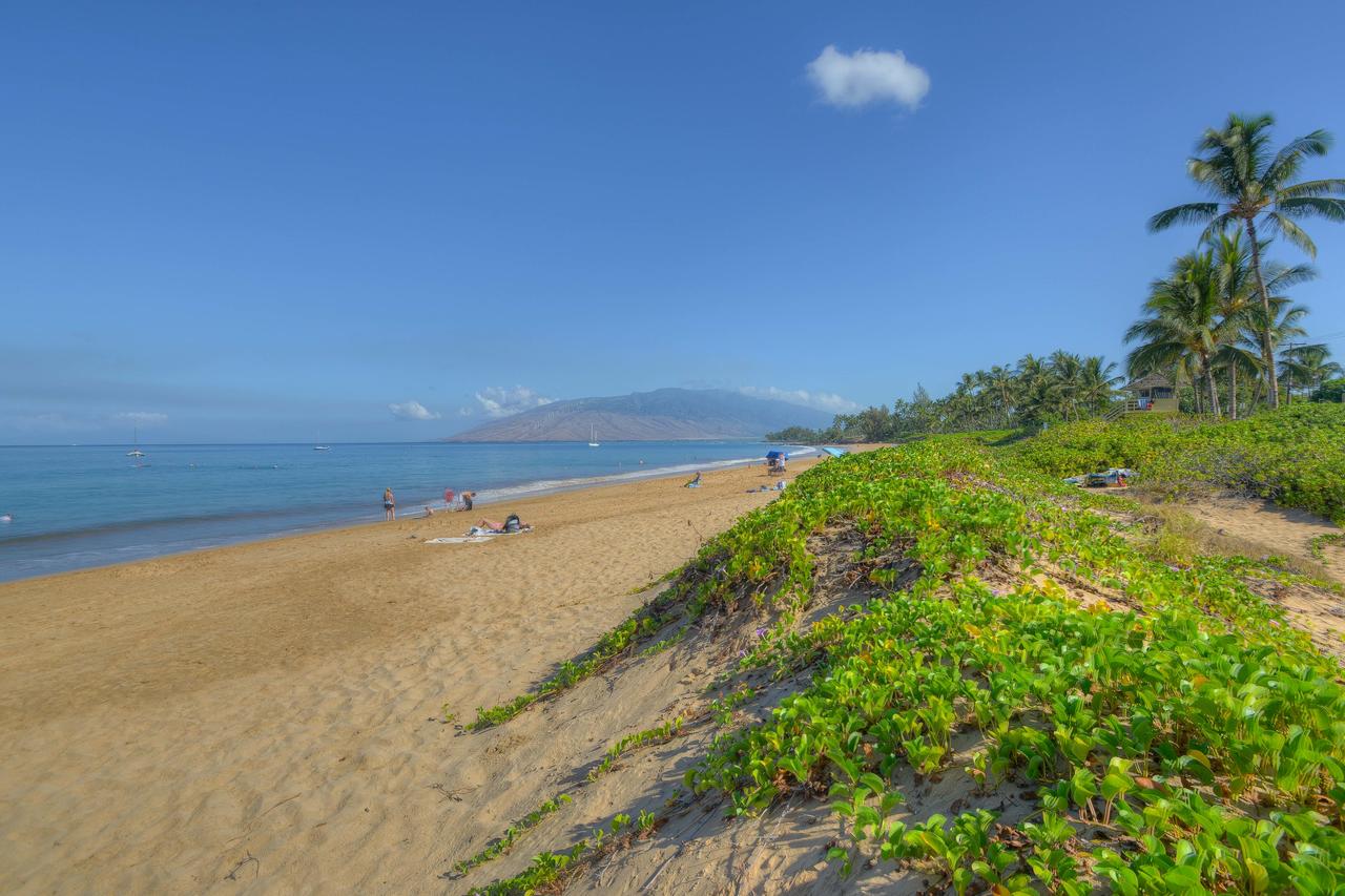 Pacific Shores A-217 - Budget-Friendly 2-Bedroom Condo Across From Kamaole Beach 1 - thumb 42