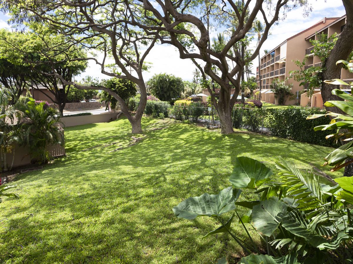 Pacific Shores A-217 - Budget-Friendly 2-Bedroom Condo Across From Kamaole Beach 1 - thumb 44