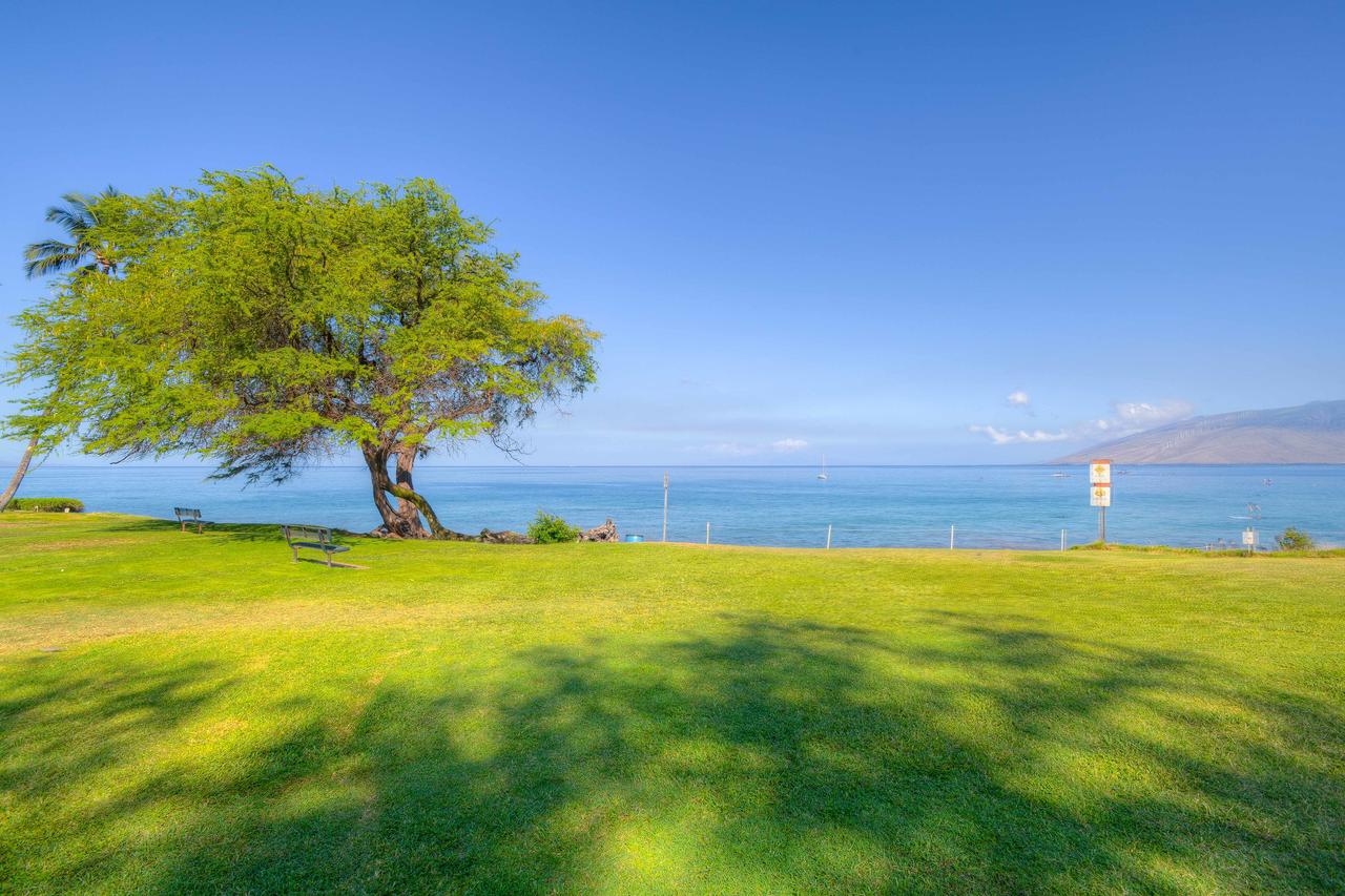 Pacific Shores A-217 - Budget-Friendly 2-Bedroom Condo Across From Kamaole Beach 1 - thumb 39