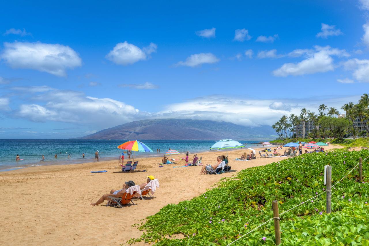 Pacific Shores A-217 - Budget-Friendly 2-Bedroom Condo Across From Kamaole Beach 1 - thumb 43