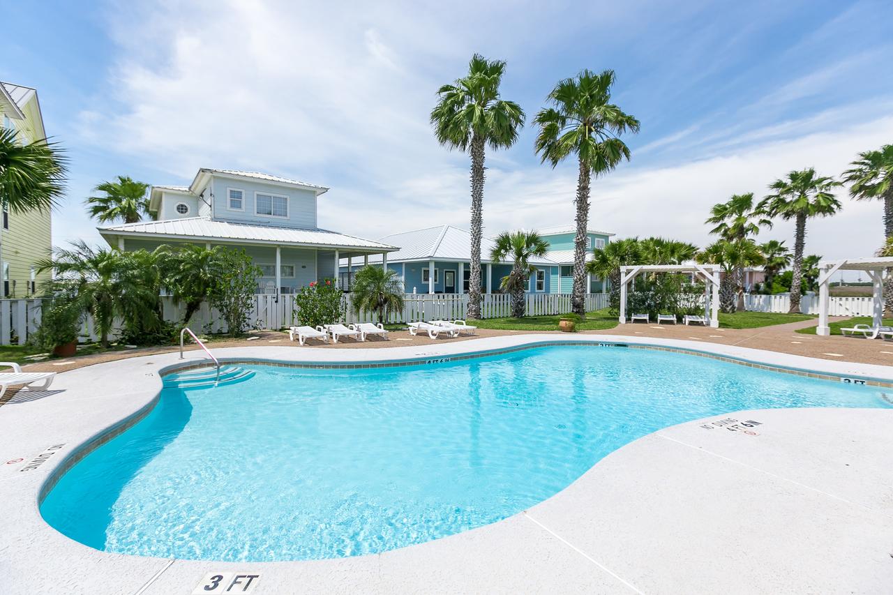 Porpoise Of Life RS328 Home - thumb 25