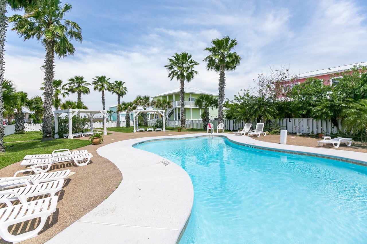 Porpoise Of Life RS328 Home - thumb 26