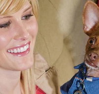 Home2 Suites By Hilton Omaha Un Medical Ctr Area - Accommodation Florida