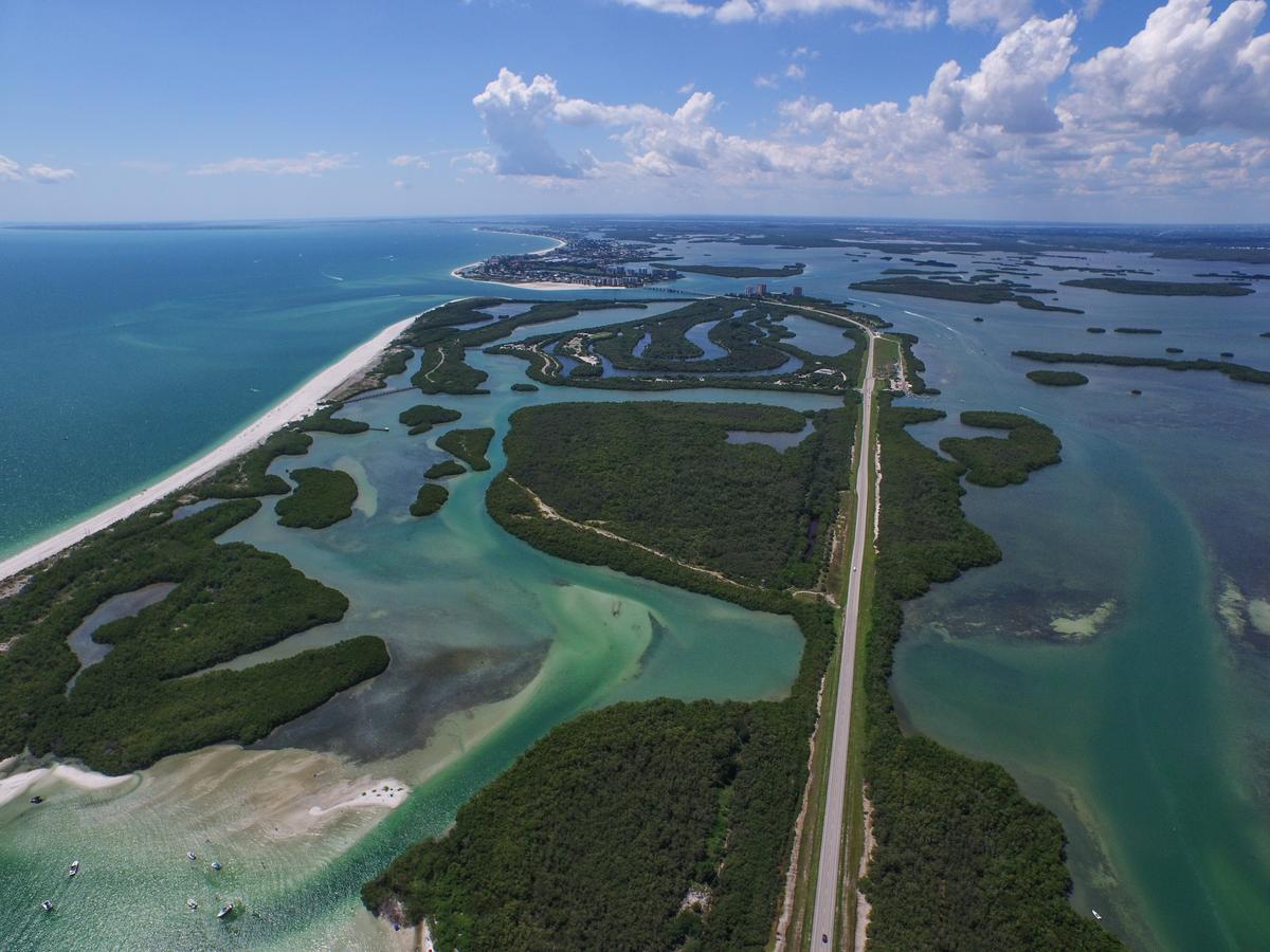 967 Fitzhugh Street Cottage - thumb 4