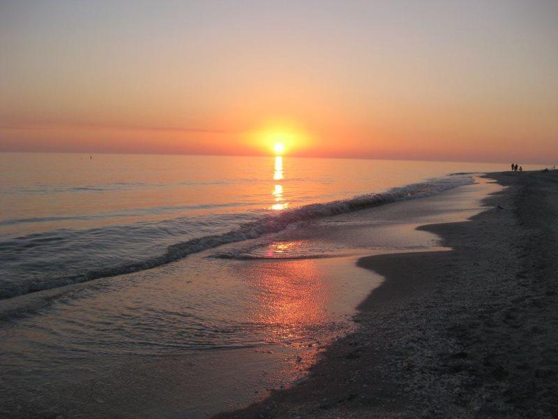 Sanibel Arms D3 - thumb 4