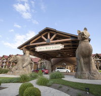 Great Wolf Lodge Williamsburg - Accommodation Florida