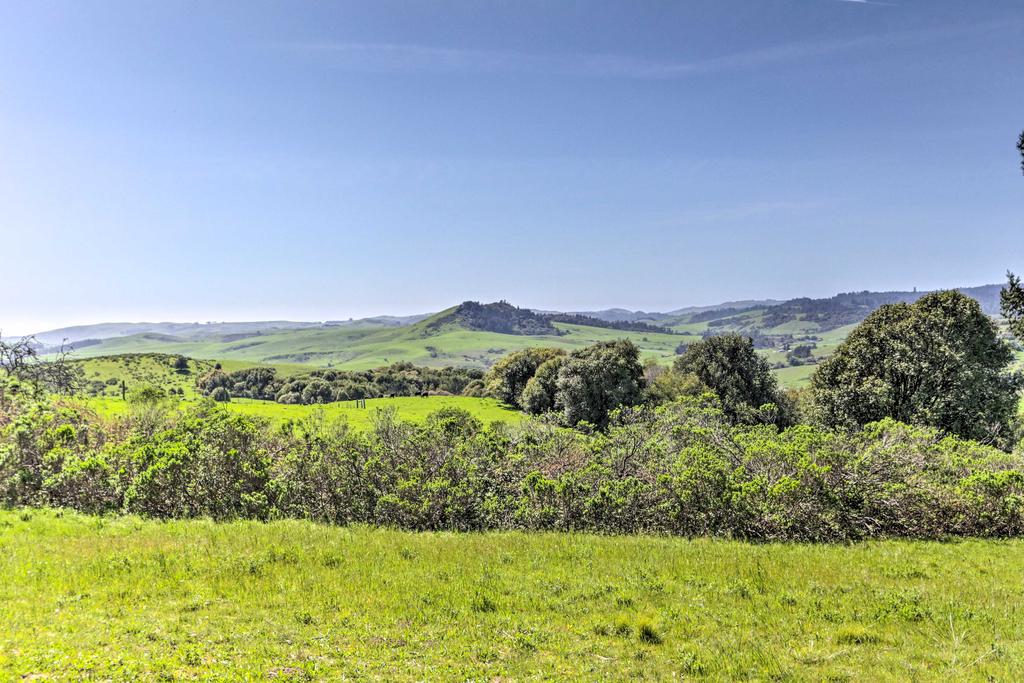 'Moonview Ranch' On 20 Acres In Sonoma County! - thumb 2