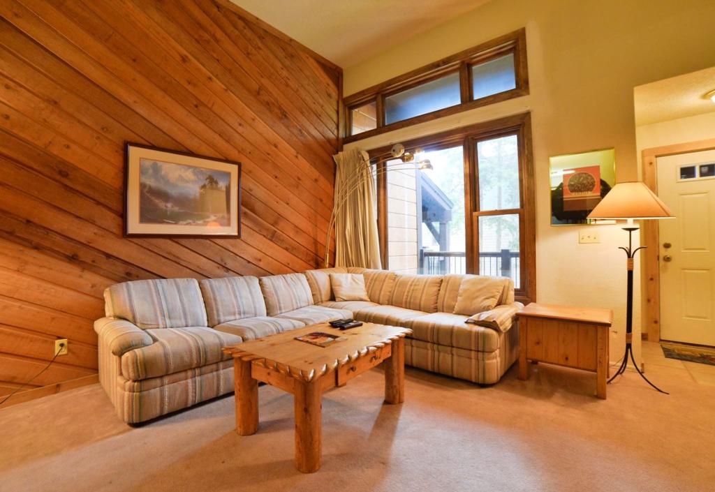 200_Primrose - thumb 2