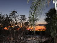 210 Disney Universal Convention Center Accommodation Florida