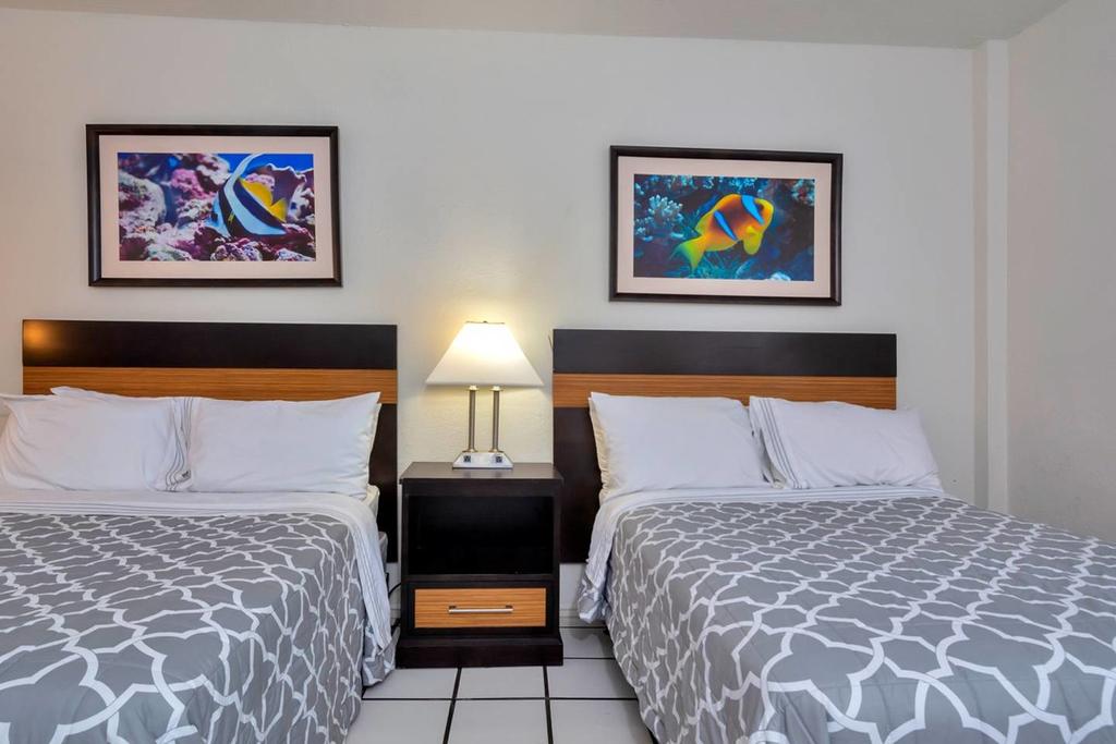 Amazing 1br Apartment With Pool, Hallandale Beach! - thumb 3