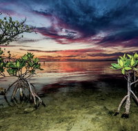Conch Key Fishing Lodge  Marina - Accommodation Florida
