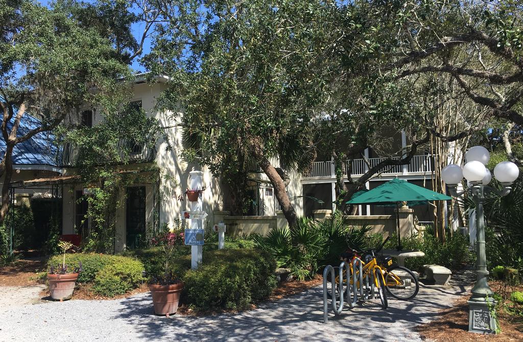 Hibiscus Coffee & Guesthouse - thumb 0