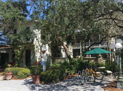 Hibiscus Coffee & Guesthouse