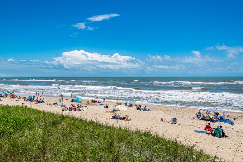 High Cotton - thumb 1