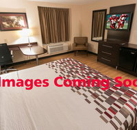 Red Roof Inn PLUS Tuscaloosa - University - Accommodation Florida