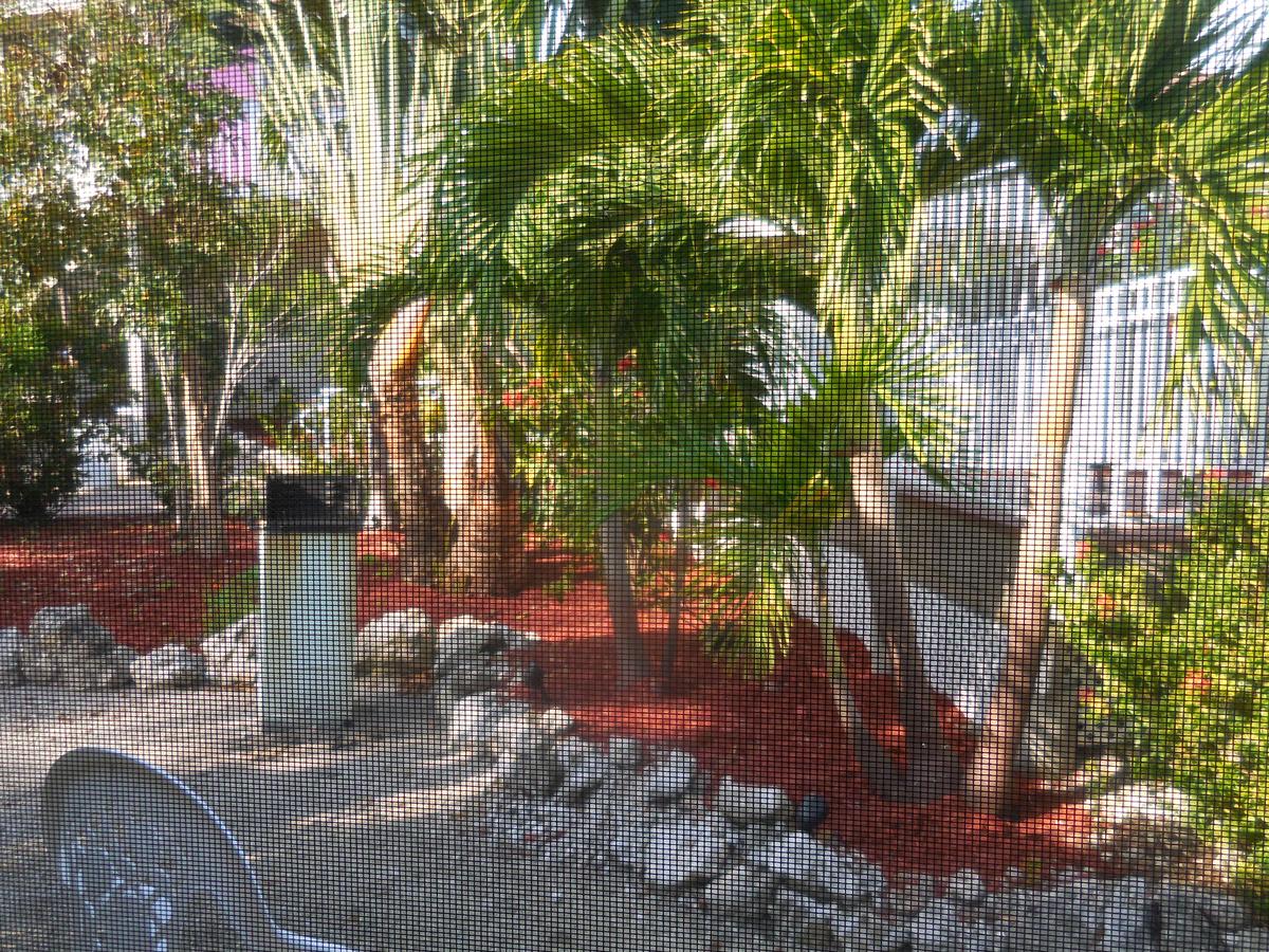 Island Hideaway - Florida Keys - thumb 22