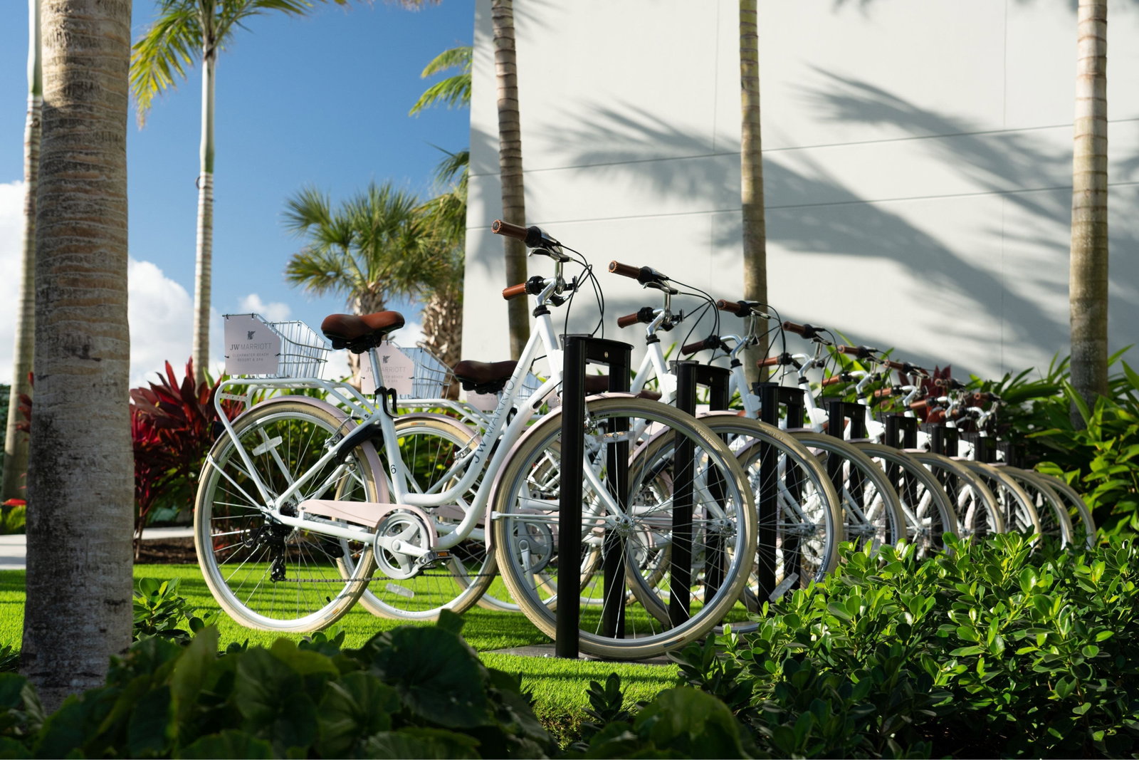 JW Marriott Clearwater Beach Resort/Spa - thumb 17