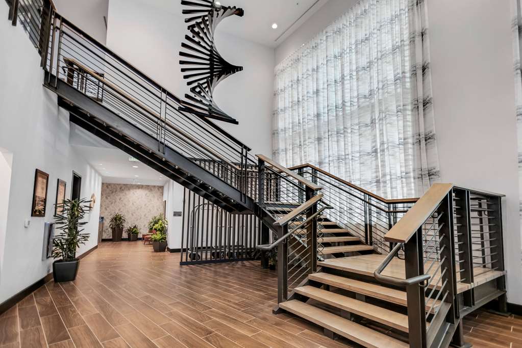 DoubleTree By Hilton Asheville Downtown - thumb 3