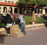 6-Hour Guided Best of Fort Worth Historical Tour - Accommodation Florida