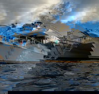 Molokini Crater and Turtle Town Snorkeling Tour from Ma'alaea Harbor - Accommodation Florida