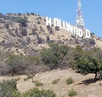 Half Day Hollywood and Beverly Hills Tour - Accommodation Florida
