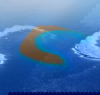 Maui Snorkeling To Molokini Tour - All-Inclusive 5-Hour - Morning Session - Accommodation Florida