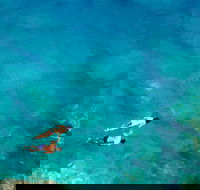 Maui Snorkeling Lani Kai - All-Inclusive 3-Hour Snorkel  Whale Watch - Accommodation Florida