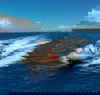 Molokini Crater plus Turtle Town Snorkeling 4-hour Tour - Accommodation Florida