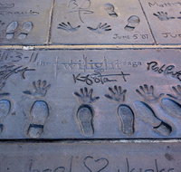 Hollywood Celebrity Homes Tour - Accommodation Florida