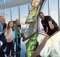 Skip the Line NYC One World Observatory Ticket - Accommodation Florida